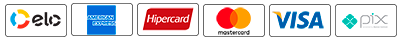 Payment payment